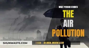 Air Pollution Investigators: Unveiling the Unknowns