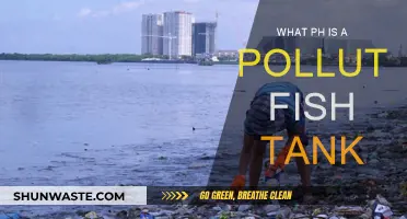 Fish Tank pH Levels: Understanding Pollution