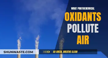 Air Pollution: Photochemical Oxidants and Their Harmful Effects