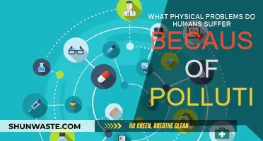 Pollution's Physical Toll: How It Hurts Our Bodies