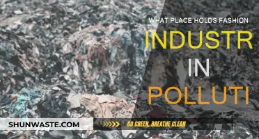Fashion's Pollution: The Dark Side of Style