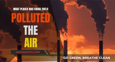 Fossil Fuel Pollution: Where Air Quality Suffers
