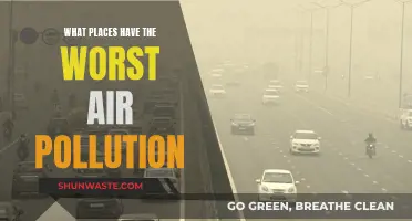 Air Pollution's Worst Offenders: Cities and Regions Exposed