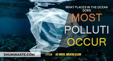 Ocean Pollution: Where Does it Occur?