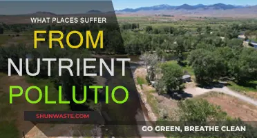 Nutrient Pollution's Impact: A Global Concern