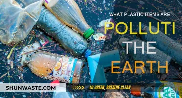 Plastic Pollution: What Items Are Harming Our Planet?
