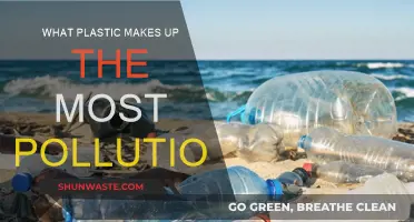 Plastic Pollution: The Worst Offenders in Our Oceans
