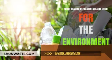 Eco-Friendly Alternatives: Sustainable Plastic Replacements for a Greener Planet