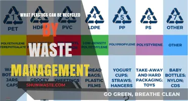 Decoding Recyclables: A Guide to Plastics Accepted by Waste Management
