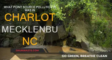 Charlotte's Point Source Pollution: A Local Concern
