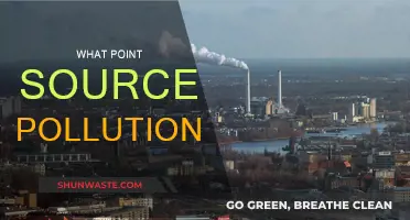 Understanding Point Source Pollution: Causes and Effects