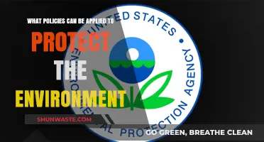 Effective Environmental Policies: Strategies to Safeguard Our Planet's Future
