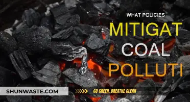 Coal Pollution: Policy Solutions for a Cleaner Future