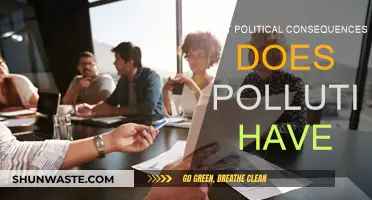 The Political Fallout of Pollution: A Global Concern