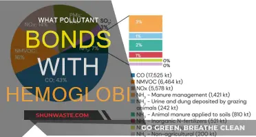 How Pollutants Hijack Your Blood: Bonding with Hemoglobin