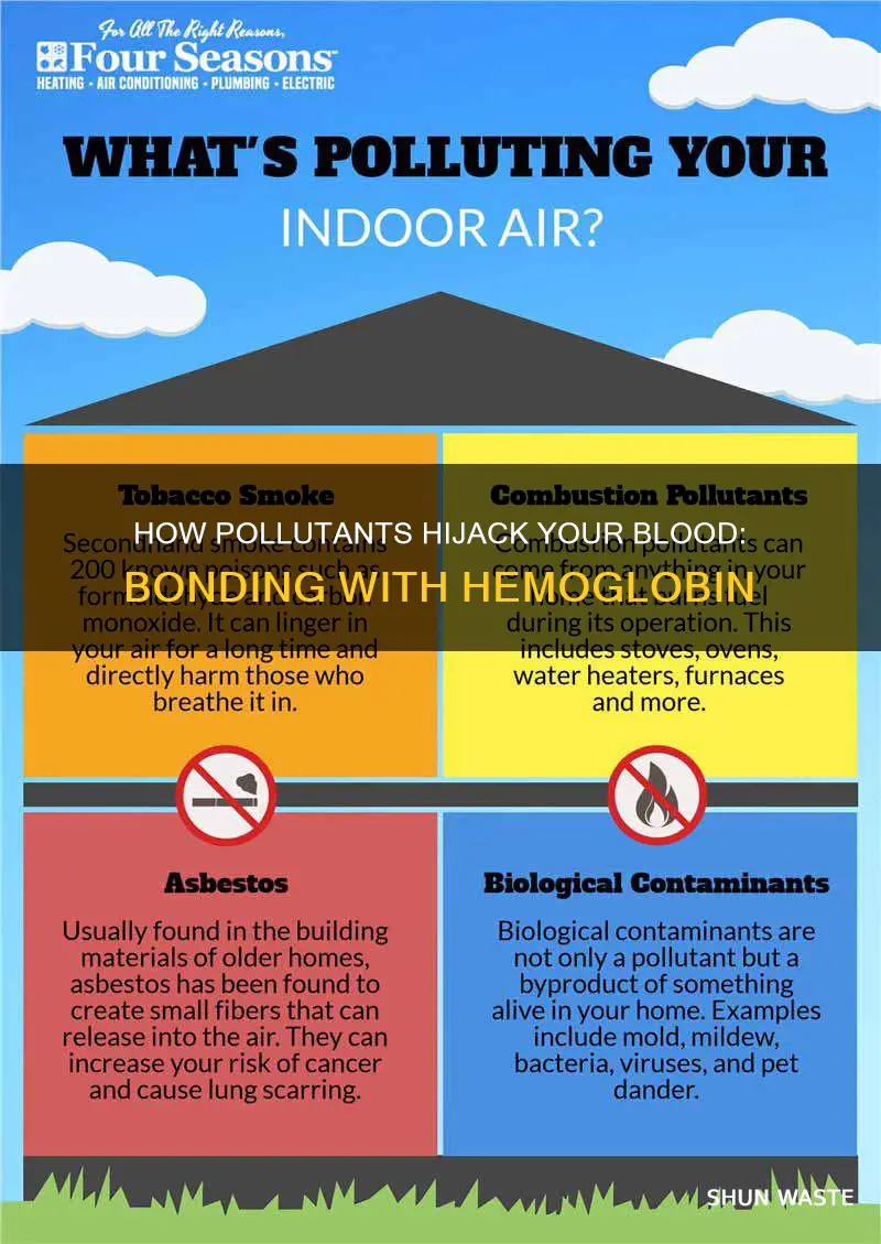 what pollutant bonds with hemoglobin