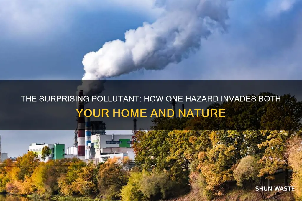 what pollutant can be both an indoor and outdoor