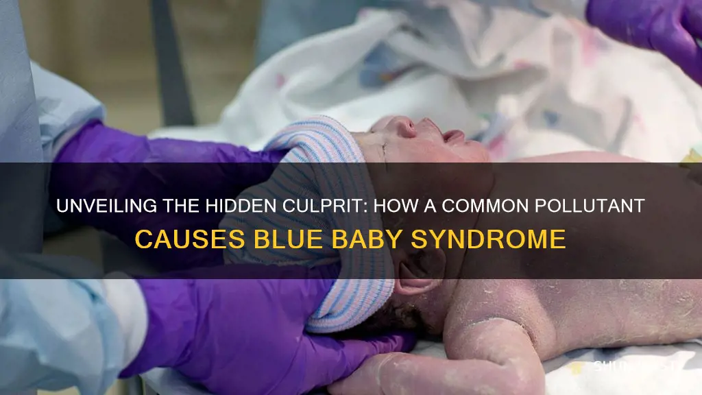 what pollutant can cause blue baby syndrome