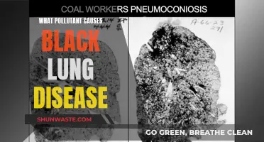 Unveiling the Dark Cloud: Black Lung's Hidden Pollutant