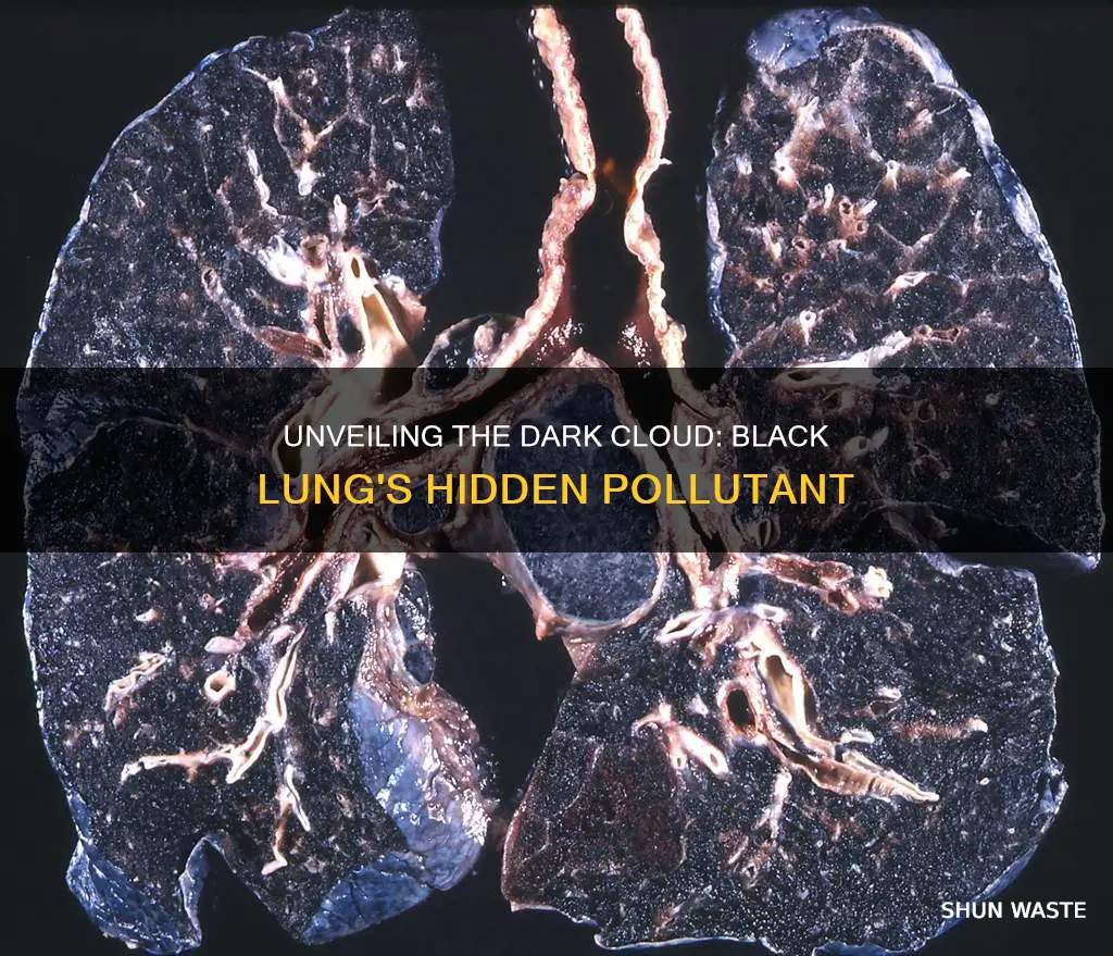 what pollutant causes black lung disease