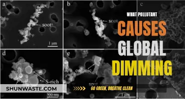 Unveiling the Culprit: Understanding the Pollutant Behind Global Dimming