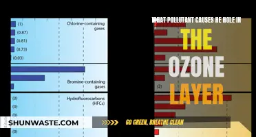 Unraveling the Mystery: Which Pollutant Creates Ozone Layer Holes?