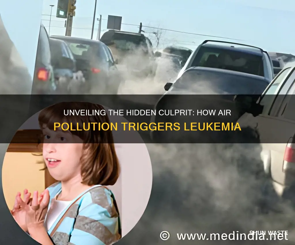 what pollutant causes leukemia