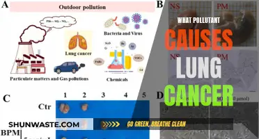 Unveiling the Hidden Culprit: Air Pollution's Link to Lung Cancer