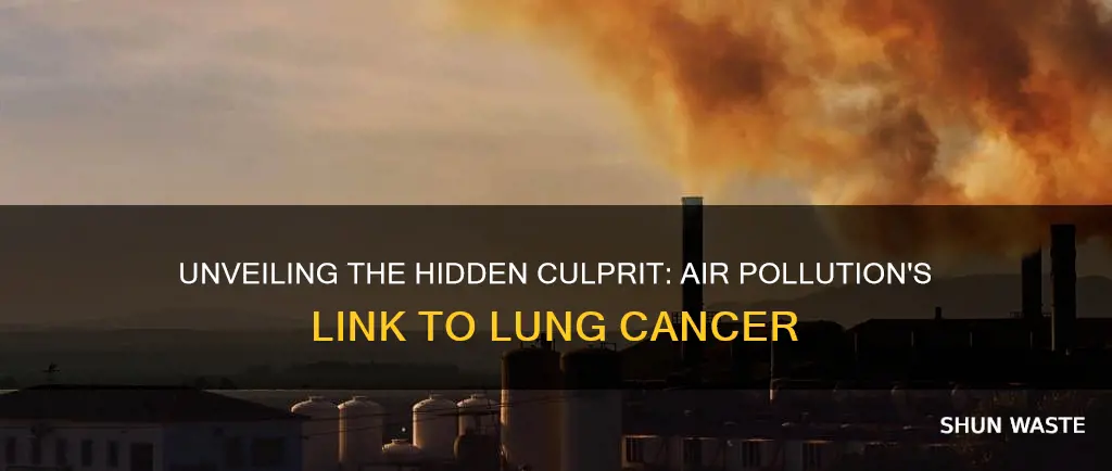 what pollutant causes lung cancer