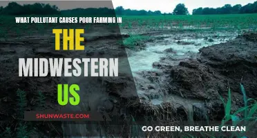 Midwest's Soil Health: Uncovering the Pollutant Threat to Farming