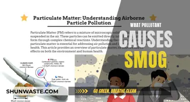 Unveiling the Culprit: What Causes the Hazy Smog?