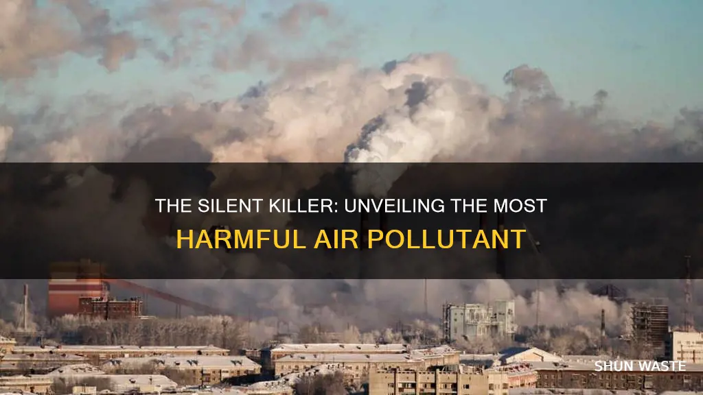 what pollutant causes the most harm