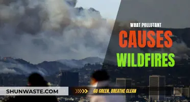 Ignition: The Hidden Culprit Behind Wildfires