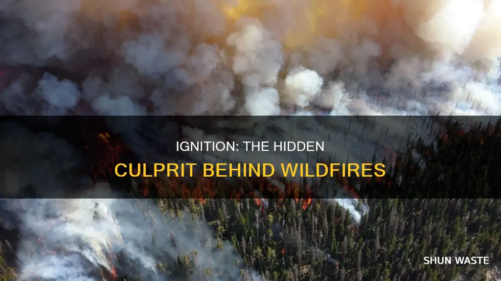 what pollutant causes wildfires