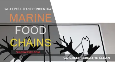 How Pollutants Poison Marine Food Chains