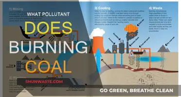 Coal Burning: Understanding the Pollutants and Their Impact
