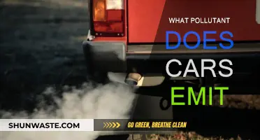 Cars and Their Harmful Emissions
