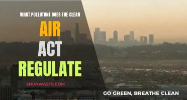 Air Pollution: Clean Air Act's Targeted Pollutants