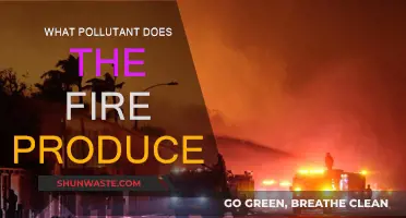 Fire's Fury: Understanding Pollutants and Their Impact
