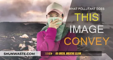 Air Pollution: What's the Real Danger?