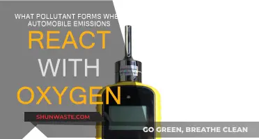 How Cars Pollute: Reacting with Oxygen