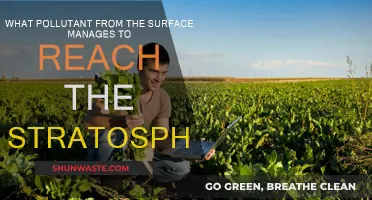 How Surface Pollutants Reach the Stratosphere