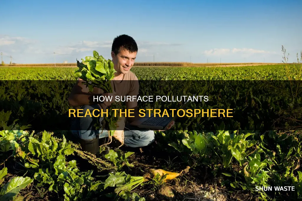 what pollutant from the surface manages to reach the stratosphere