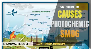 Unveiling the Culprit: Which Pollutant Gas Fuels Photochemical Smog?