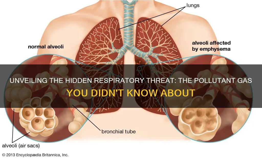 what pollutant gas causes respiratory problems