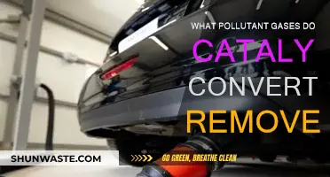 Catalytic Converters: Filtering Pollutant Gases in Exhaust