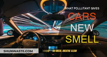 The Chemistry Behind That New Car Smell
