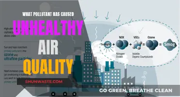 Unhealthy Air: The Hidden Pollutant Causing Poor Quality