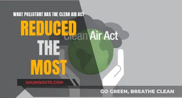 How the Clean Air Act Reduced Six Key Pollutants