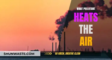 Air Pollution: Heating the Air and Our Planet